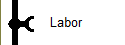 Labor